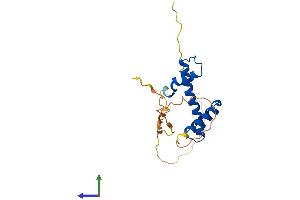Protein Structure (PS) image for Nuclear Transcription Factor Y, beta (NFYB) (AA 1-207) protein (His tag) (ABIN7556647)
