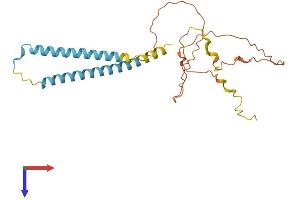 Myc Target 1 (MYCT1) (AA 1-235) protein (His tag)