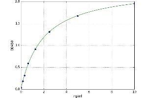 A typical standard curve