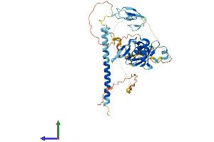 Protein Structure (PS) image for Ras Association (RalGDS/AF-6) Domain Family Member 5 (RASSF5) (AA 1-413) protein (His tag) (ABIN7557438)