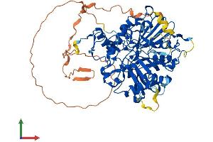 AlphaFold protein structure predicition of Mouse Recombinant Tdp1 Protein, UniprotID Q8BJ37