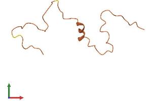 AlphaFold protein structure predicition of Human Recombinant KRTAP6-1 Protein, UniprotID Q3LI64 (KRTAP6-1 Protein (AA 1-71) (Fc Tag))