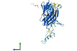 Protein Structure (PS) image for Trafficking Protein Particle Complex 13 (TRAPPC13) (AA 1-417) protein (His tag) (ABIN7544738)