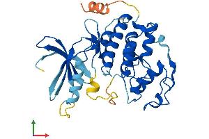 AlphaFold protein structure predicition of Human Recombinant CDK3 Protein, UniprotID Q00526 (CDK3 Protein (AA 1-305) (His tag))