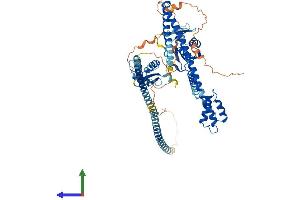 Protein Structure (PS) image for Ecto-NOX Disulfide-Thiol Exchanger 1 (ENOX1) (AA 1-643) protein (His tag) (ABIN7564359)