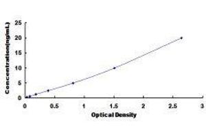 ELISA image for Amyloid beta (A4) Precursor-Like Protein 1 (APLP1) ELISA Kit (ABIN421711)