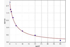 AMFR ELISA Kit