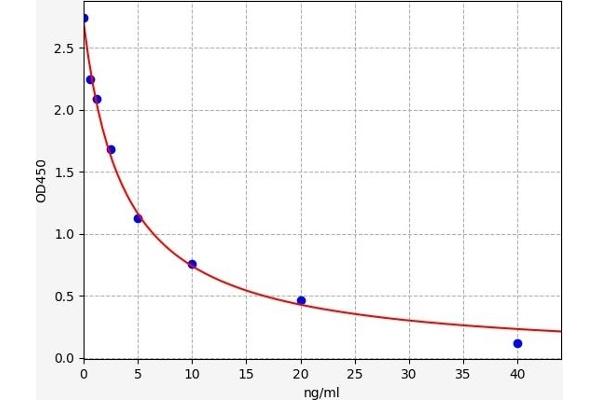 AMFR ELISA Kit