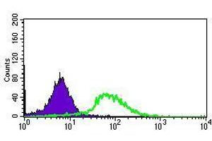 Flow cytometric analysis of HepG2 cells using ABCG5 mouse mAb (green) and negative control (purple). (ABCG5 antibody  (AA 306-367))