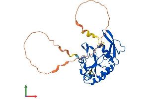 AlphaFold protein structure predicition of Mouse Recombinant Ctdspl Protein, UniprotID P58465 (CTDSPL Protein (AA 1-276) (His tag))