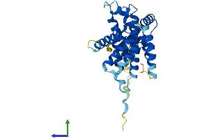 AlphaFold protein structure predicition of Human Recombinant CCNG1 Protein, UniprotID P51959