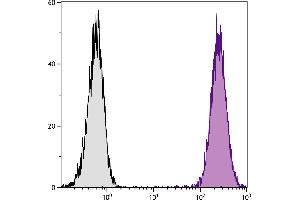 DBA/2 mouse mastocytoma cell line P815 and mB7. (CD86 antibody  (Biotin))