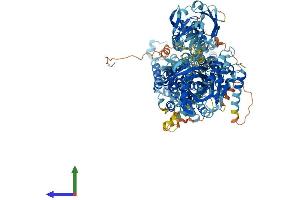 AlphaFold protein structure predicition of Human Recombinant ATP8B2 Protein, UniprotID P98198 (ATP8B2 Protein (AA 1-1209) (His tag))