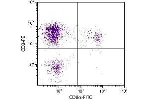 Chicken peripheral blood lymphocytes were stained with Mouse Anti-Chicken CD3-PE. (CD3 antibody  (PE))