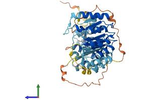 AlphaFold protein structure predicition of Human Recombinant PRAMEF17 Protein, UniprotID Q5VTA0 (PRAMEF17 Protein (AA 1-474) (His tag))