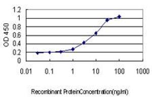 Detection limit for recombinant GST tagged CDH18 is approximately 0. (CDH18 antibody  (AA 467-576))