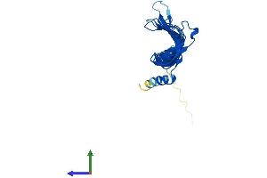 AlphaFold protein structure predicition of Human Recombinant MORN3 Protein, UniprotID Q6PF18