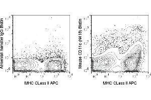 C57Bl/6 splenocytes were stained with APC MHC CLass II and 0. (CD11c antibody  (Biotin))