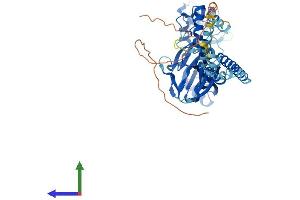 Protein Structure (PS) image for Amiloride-Sensitive Cation Channel 2, Neuronal (ACCN2) (AA 1-528) protein (His tag) (ABIN7552365)