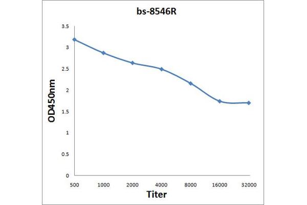 KRIT1 antibody  (AA 631-736)