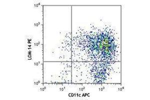 Flow Cytometry (FACS) image for anti-C-Type Lectin Domain Family 10, Member A (CLEC10A) antibody (PE) (ABIN2662589) (CLEC10A antibody  (PE))