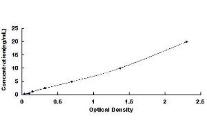 CD81 ELISA Kit