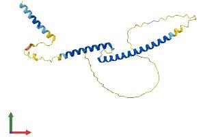 AlphaFold protein structure predicition of Human Recombinant MXD1 Protein, UniprotID Q05195 (MXD1 Protein (AA 1-221) (His tag))