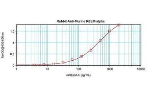 Image no. 4 for anti-RELM alpha antibody (ABIN465191) (RELM alpha antibody)