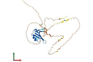 Protein Structure (PS) image for Deleted in Azoospermia-Like (DAZL) (AA 1-298) protein (His tag) (ABIN7557835)