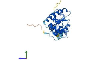 Protein Structure (PS) image for Chromosome 19 Open Reading Frame 40 (C19ORF40) (AA 1-221) protein (His tag) (ABIN7558650)
