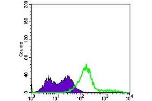 FC analysis of Jurkat cells using CD3E antibody (green) and negative control (purple). (CD3 epsilon antibody)