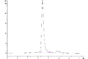 The purity of Biotinyllated Mouse IL-17A&F is greater than 95 % as determined by SEC-HPLC. (IL-17A/F Protein (AA 26-158) (His-Avi Tag,Biotin))
