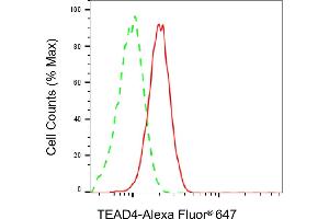 Flow cytometric analysis of TEAD4 expression in HepG2 cells using TEAD4 antibody (ABIN7800526), 1:2,000). (Recombinant TEAD4 antibody)