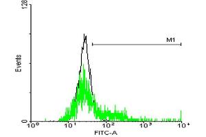 FACS analysis of negative control 293 cells (Black) and S1PR3 expressing 293 cells (Green) using S1PR3 purified MaxPab mouse polyclonal antibody.