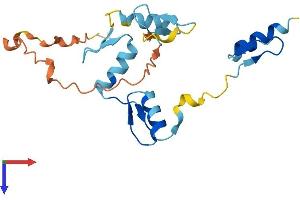 AlphaFold protein structure predicition of Mouse Recombinant Ovol3 Protein, UniprotID D3YYM0 (OVOL3 Protein (AA 1-189) (His tag))