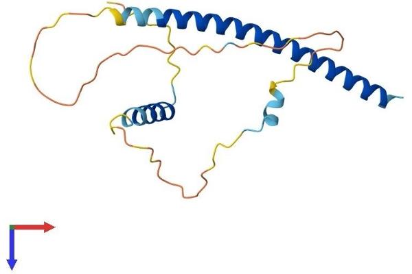 DDIT3 Protein (AA 1-168) (His tag)