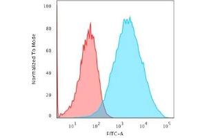 Flow Cytometric Analysis of trypsinized-MCF-7 cells. (Recombinant EpCAM antibody  (N-Term))