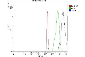 Flow Cytometry analysis of A431 cells using anti-TP53 antibody (ABIN7599050). (p53 antibody  (AA 1-186))