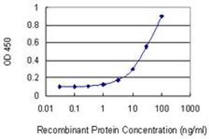 Detection limit for recombinant GST tagged ACD is 1 ng/ml as a capture antibody. (ACD antibody  (AA 1-544))