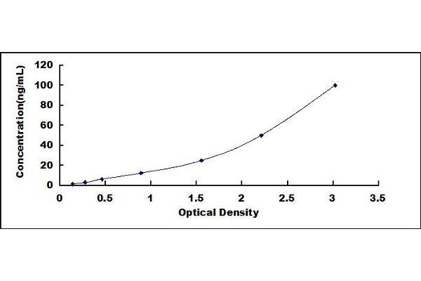 RNASE7 ELISA Kit