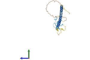 AlphaFold protein structure predicition of Human Recombinant ZBED2 Protein, UniprotID Q9BTP6