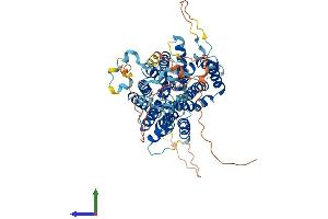 Protein Structure (PS) image for Solute Carrier Family 23 Member 3 (SLC23A3) (AA 1-610) protein (His tag) (ABIN7551641)