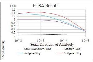 Black line: Control Antigen (100 ng), Purple line: Antigen(10 ng), Blue line: Antigen (50 ng), Red line: Antigen (100 ng), (NFKBIA antibody  (AA 150-291))