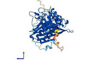 AlphaFold protein structure predicition of Mouse Recombinant Inpp1 Protein, UniprotID P49442 (INPP1 Protein (AA 1-396) (His tag))