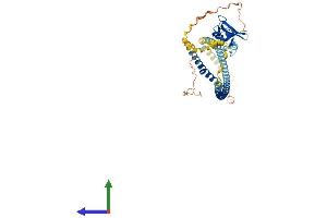 AlphaFold protein structure predicition of Human Recombinant MSR1 Protein, UniprotID P21757 (Macrophage Scavenger Receptor 1 Protein (MSR1) (AA 1-451) (His tag))
