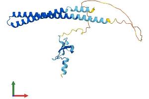 Protein Structure (PS) image for Inhibitor of Growth Family, Member 5 (ING5) (AA 1-240) protein (His tag) (ABIN7548531)