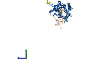 AlphaFold protein structure predicition of Human Recombinant HTR1B Protein, UniprotID P28222