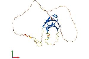 AlphaFold protein structure predicition of Mouse Recombinant Tmed8 Protein, UniprotID Q3UHI4 (TMED8 Protein (AA 1-326) (His tag))