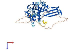 Protein Structure (PS) image for Ubiquitin Specific Peptidase 17-Like Family Member 6 (USP17L6P) (AA 1-398) protein (His tag) (ABIN7544942)