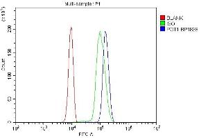 Flow Cytometry analysis of U937 cells using anti-POT1 antibody (ABIN7600116). (POT1 antibody  (AA 15-638))